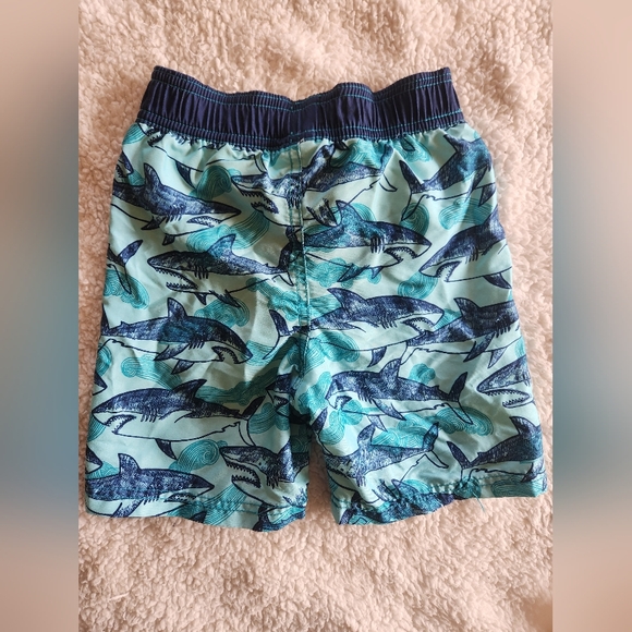 Swim Trunks - Picture 3 of 3